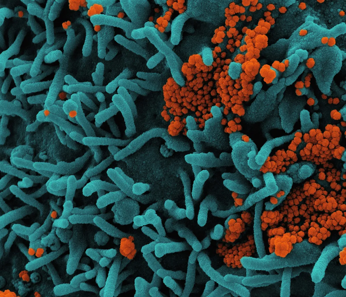 Imagen representativa de Laboratorio de Análisis